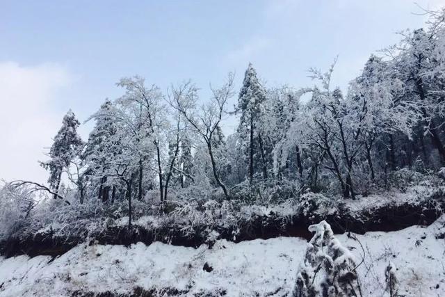 安吉最新新闻,初学者与进阶用户指南——获取与了解最新资讯全攻略