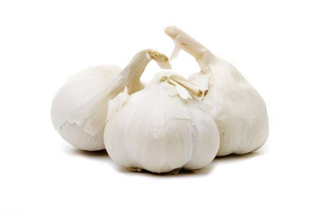 大蒜的奇妙旅程与温馨故事，最新大蒜资讯报道