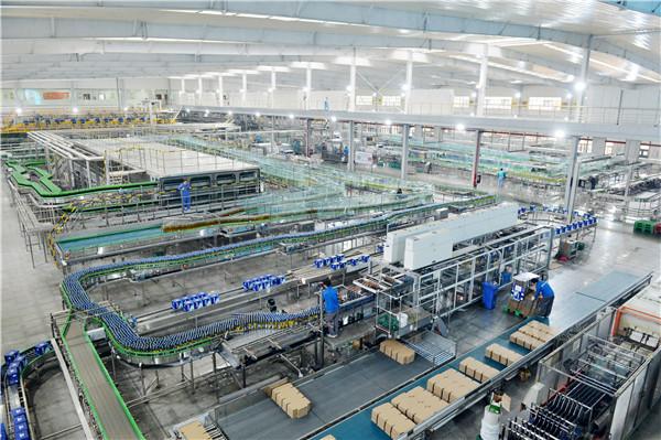 龙里最新新闻速递