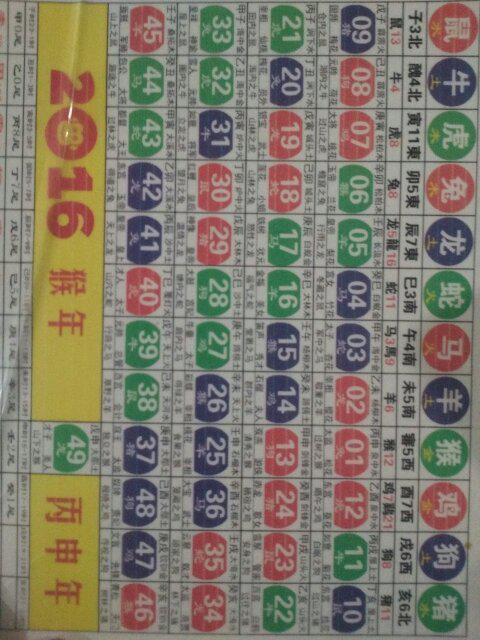 2024新版生肖恃码表49彩色澳门,创新策略执行_亲和版96.613