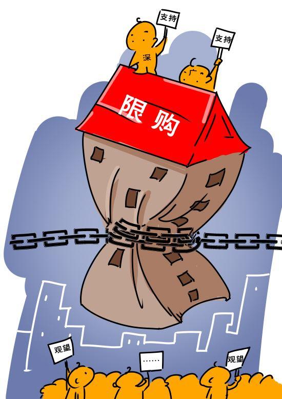 合肥最新限购政策，探索自然美景的邀请之旅