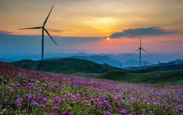 三公最新探寻之旅,自然美景引领内心平和宁静的征途