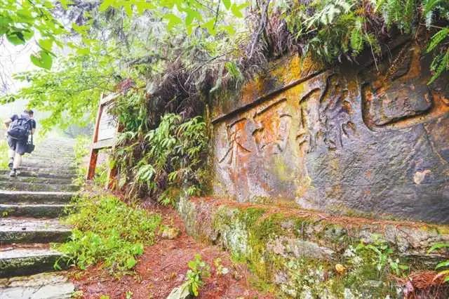 揭秘重庆走马未来繁华蓝图,最新规划展望!