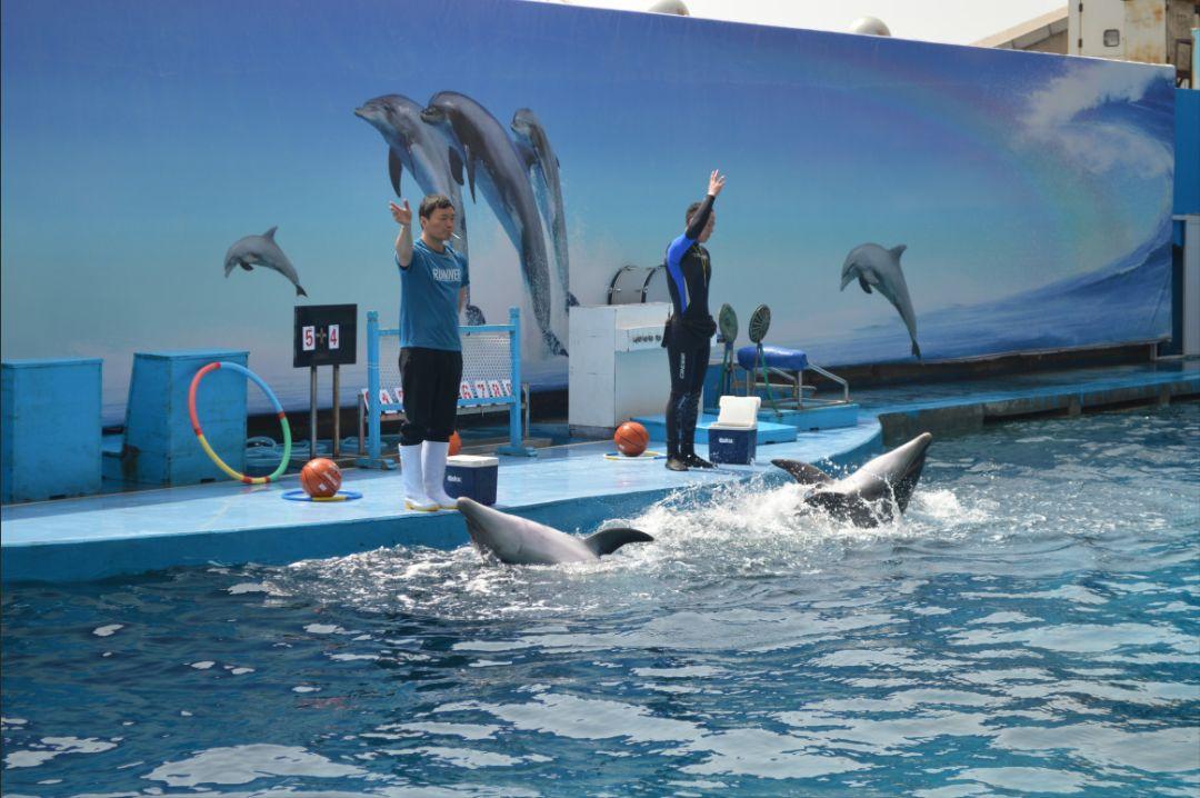 新澳天天彩资料大全最新版本,理论考证解析_限量版60.782