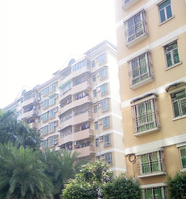 本溪最新房源探秘,小巷深处的独特风情