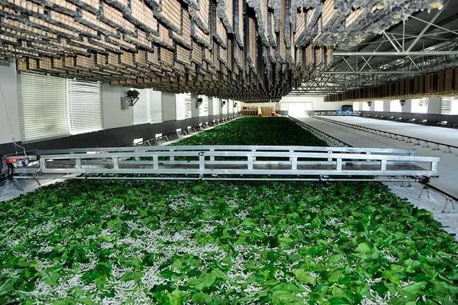 澳门最精准真正最精准龙门蚕,互动性策略设计_高端体验版77.935