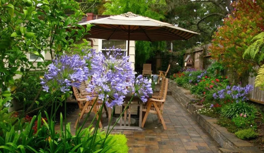 蓝光天骄二期最新动态揭秘,自然美景探索之旅的盛大邀请