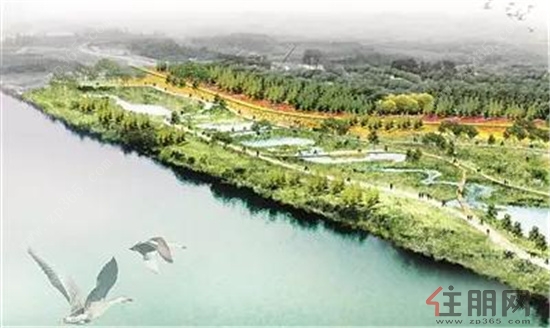 秦淮湿地公园最新消息,秦淮湿地公园最新消息，一场自然美景的探索之旅，启程吧！