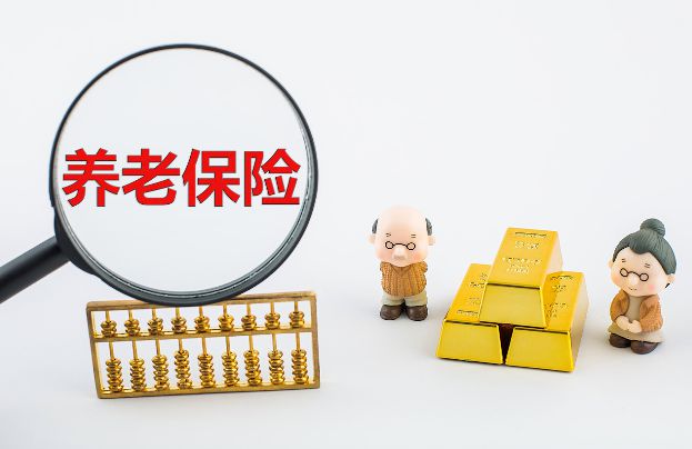 澳门精准正版资料大全长春老,高速响应计划执行_原汁原味版39.962