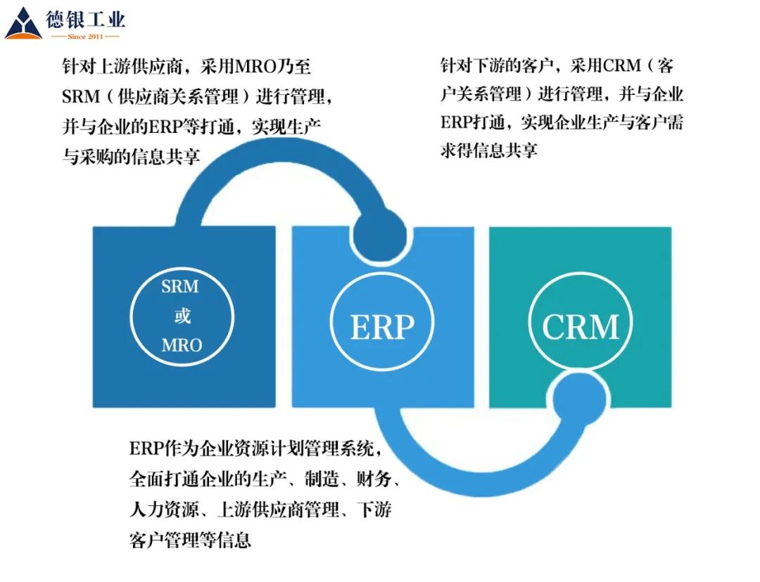 树下野狐2016最新作品，深度解析与观点阐述