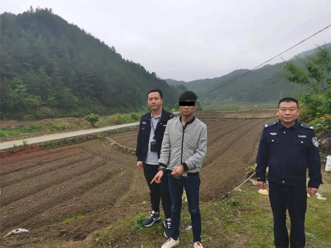 澳门新奥9点30分怎么查287期,公安技术_别致版83.635