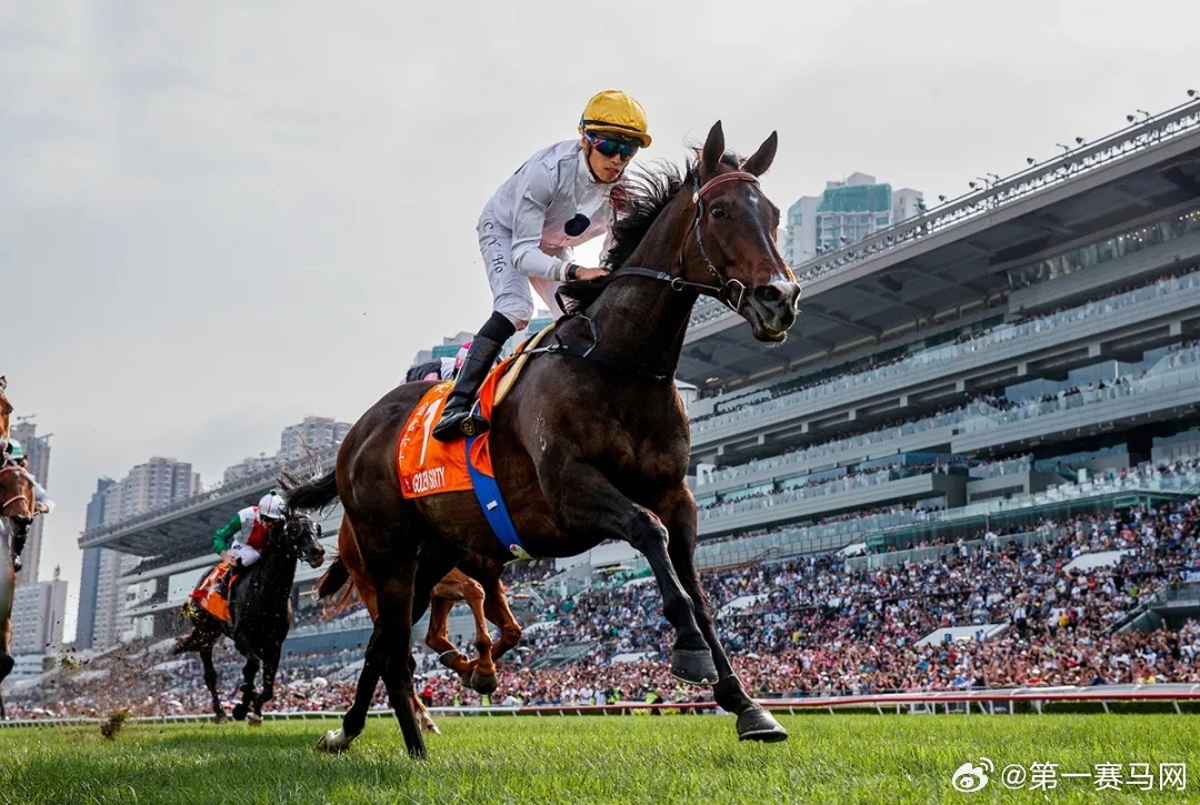 2024年香港买马资料,策略规划_生态版28.789