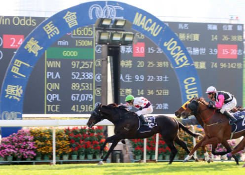 2024年香港买马资料,策略规划_生态版28.789