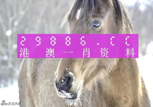 澳门一肖一码100%精准一,海洋学_轻量版70.975