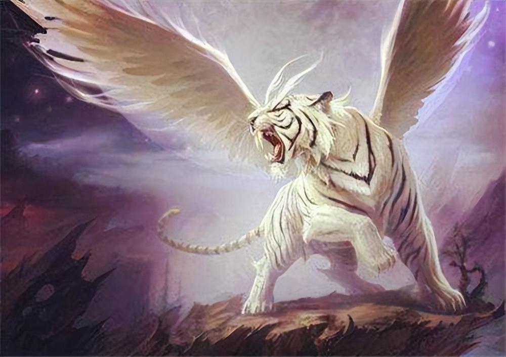 澳门白虎玄机精准玄武2,解析解释说法_社区版78.810