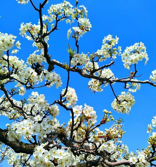 电子商务 第386页