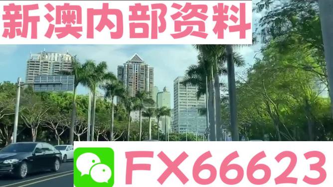 新澳精准资料免费提供,统计信息解析说明_赋能版29.356
