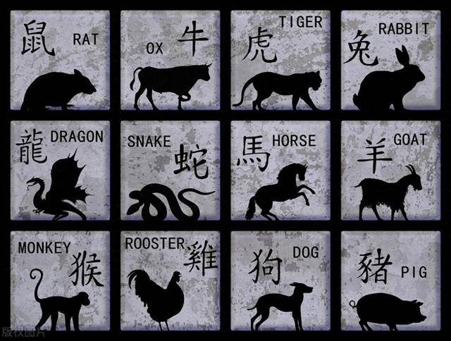 二肖四4码资料,具象化表达解说_高效版10.729