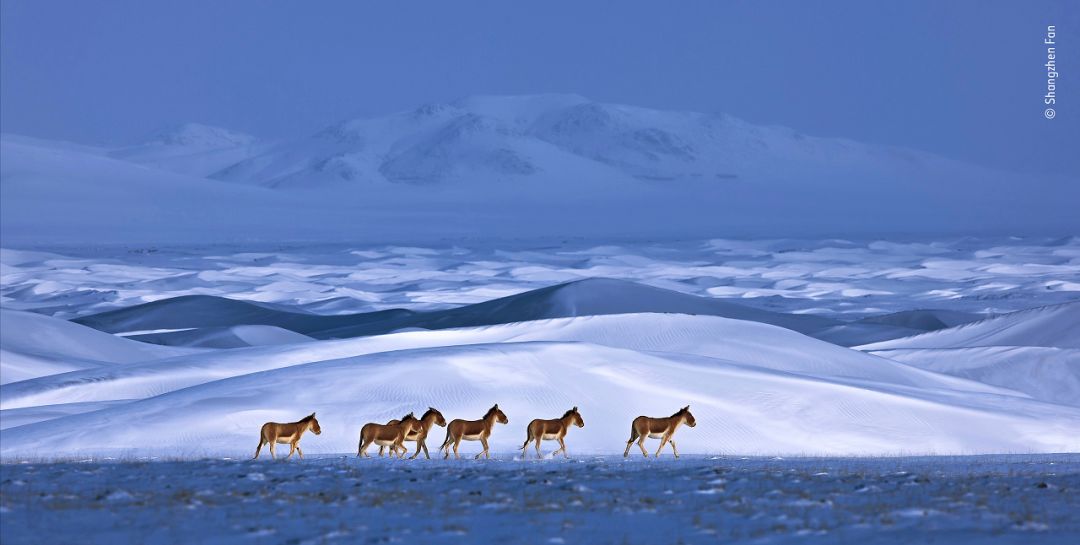民和股份收购最新动态,探索自然美景,心灵宁静之旅