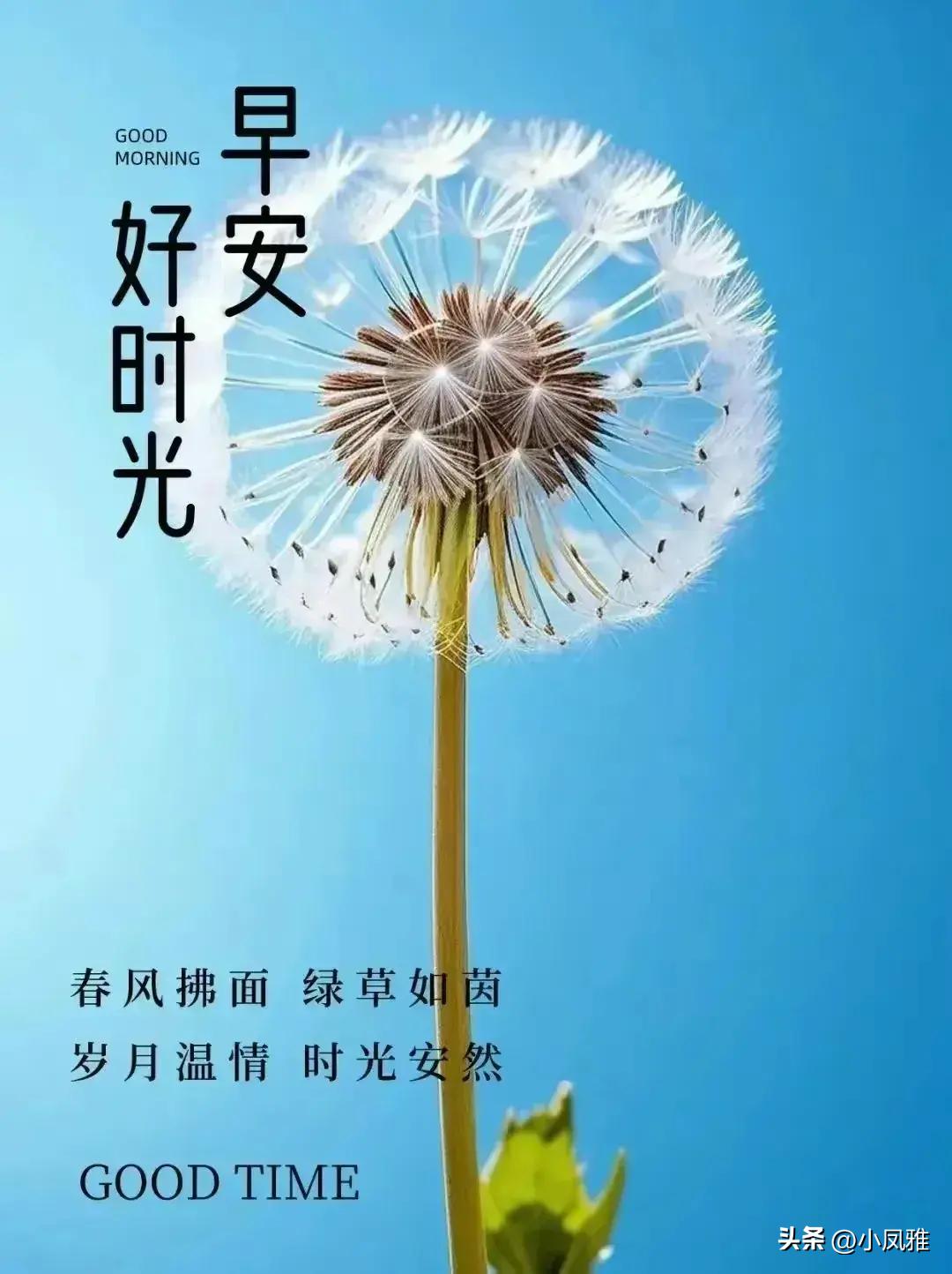 2024天天彩全年免费资料,安全设计方案评估_梦想版9.244