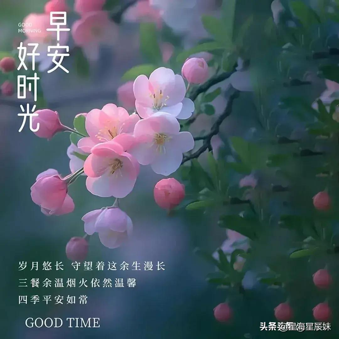 2024天天彩全年免费资料,安全设计方案评估_梦想版9.244