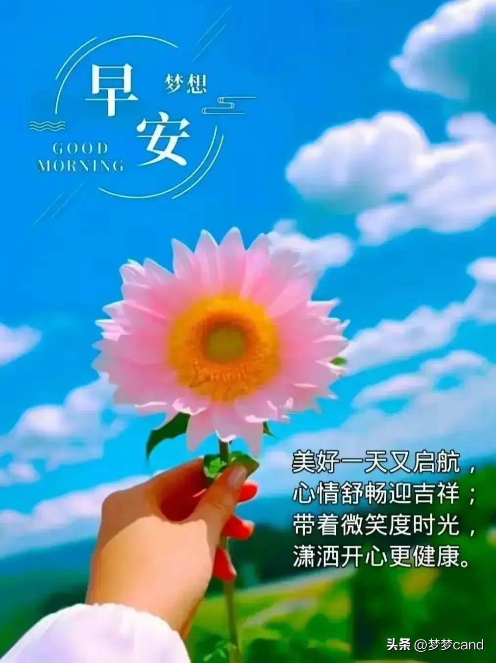 2024天天彩全年免费资料,安全设计方案评估_梦想版9.244