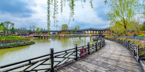 小东流公园最新动态，变化中的学习，自信与成就感的源泉