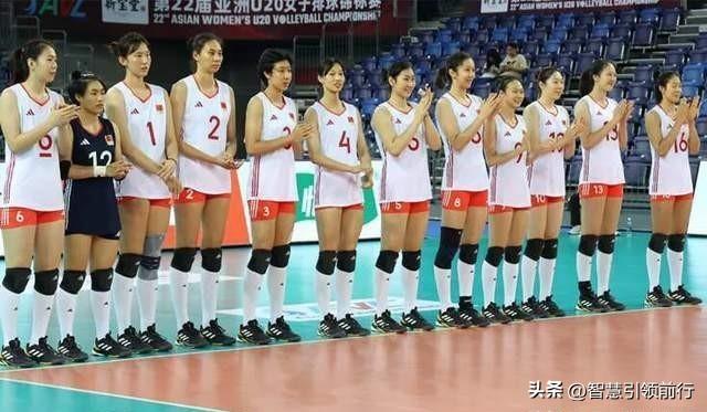 2024澳门天天开好彩大全正版,实地数据评估分析_定义版56.856