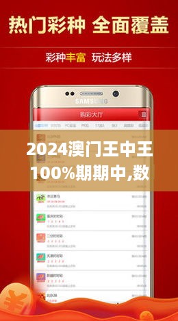 2024澳门王中王100%期期中,精细化实施分析_跨界版56.623