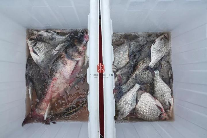 鱼包头村城最新动态更新,鱼包头村城最新消息