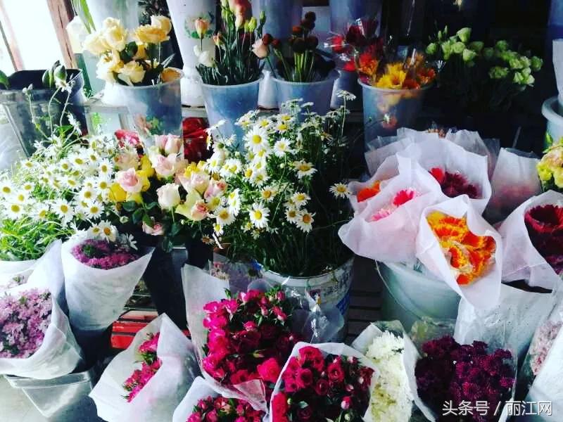 丽江人才网最新招聘，学习变化，成就自信与梦想之旅