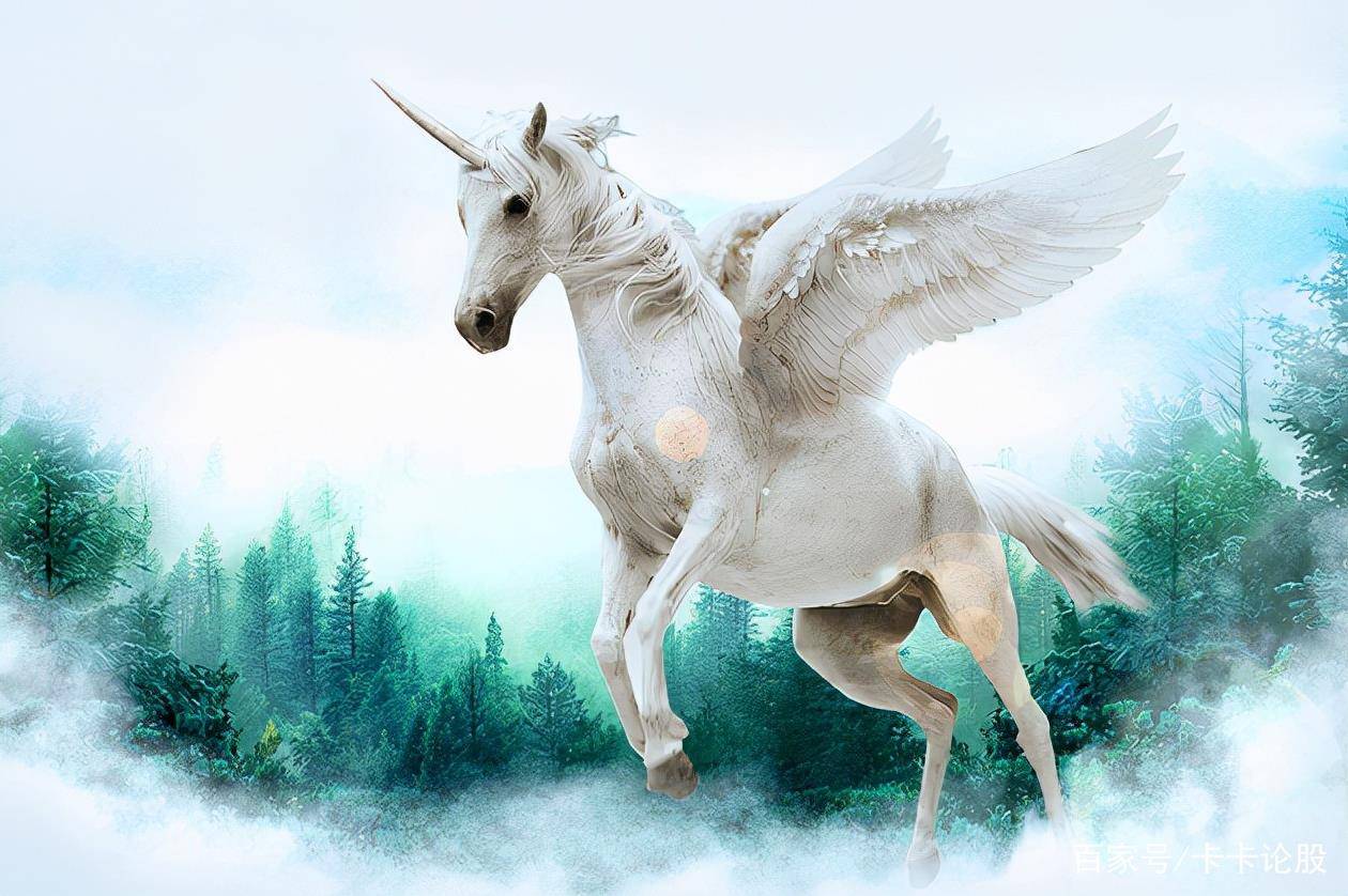 白马最新文章解析，学习变化中的自信与成就感之旅