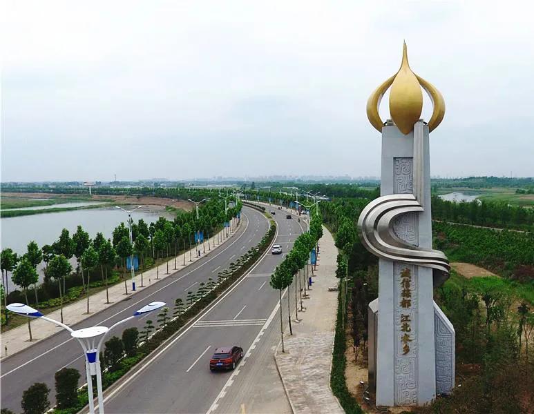 金乡蒜苔最新价格行惰,金乡蒜苔最新价格行情分析