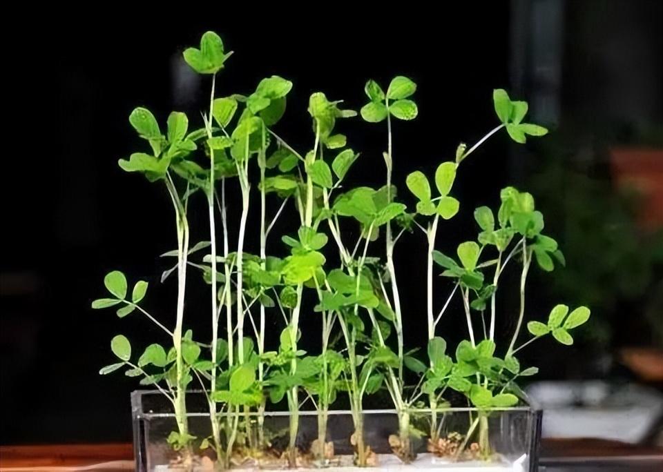 天津京广和学习之旅的新变化，自信与成就感的源泉最新消息