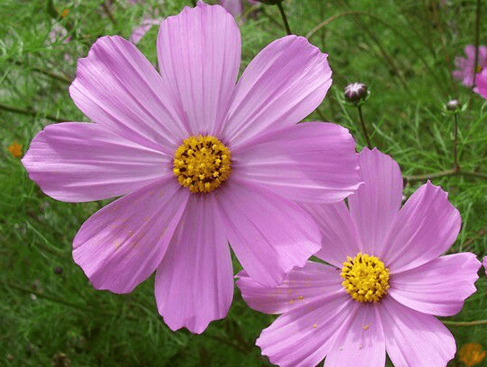 上海有机玻璃最新招聘,职业新起点,启航未来!