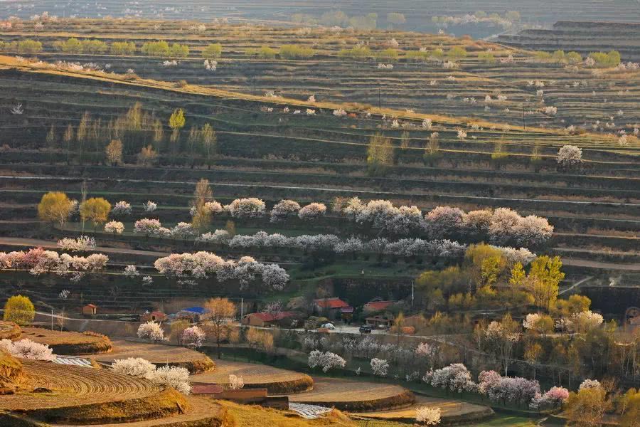 威宁石门乡最新动态与日常温馨趣事报道