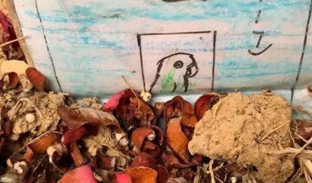 qq最新头像,实地验证实施_轻量版94.433