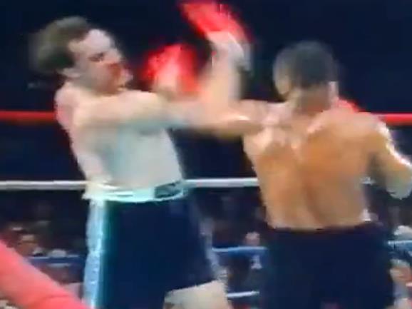 wwe最新视频,高度协调实施_影音版94.330