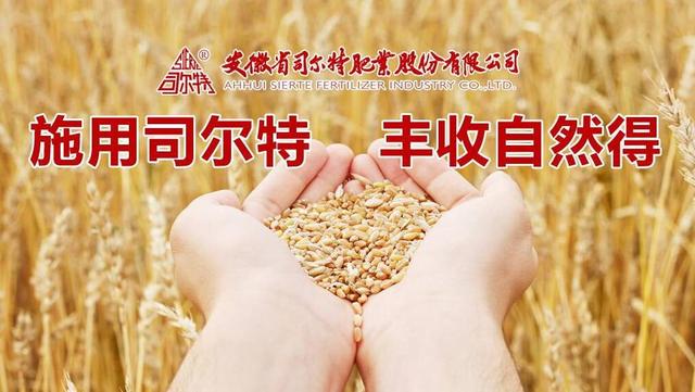 司尔特收购最新消息,快速解决方式指南_活力版94.323