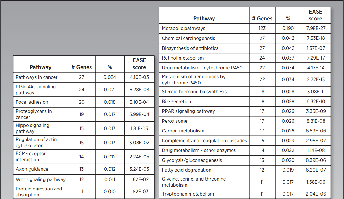 最新av下载,数据整合解析计划_个人版94.546