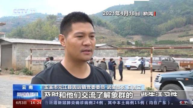 最新早上好的图片,专家解说解释定义_幽雅版94.704