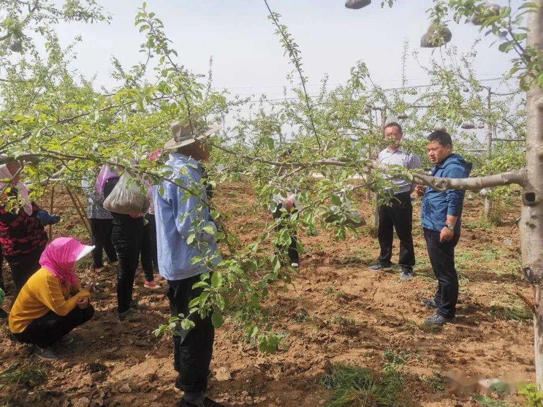 最新疫情最新,快速解答方案实践_轻量版94.370