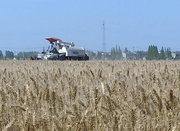 最新规范,最新研究解读_寻找版94.731