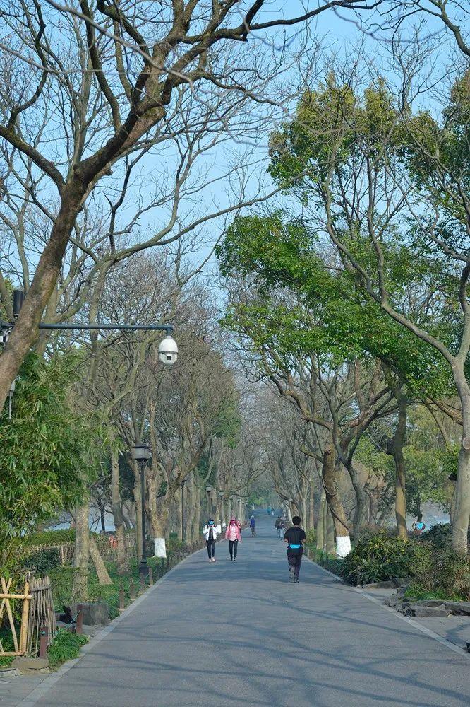 杭州最新疫情,科学分析严谨解释_美学版94.558