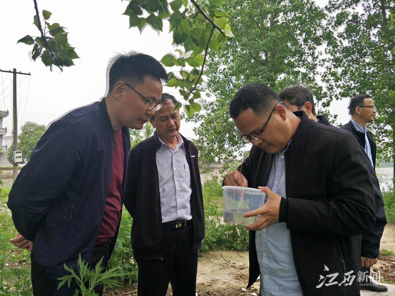 江西最新新闻,安全设计方案评估_个人版94.129