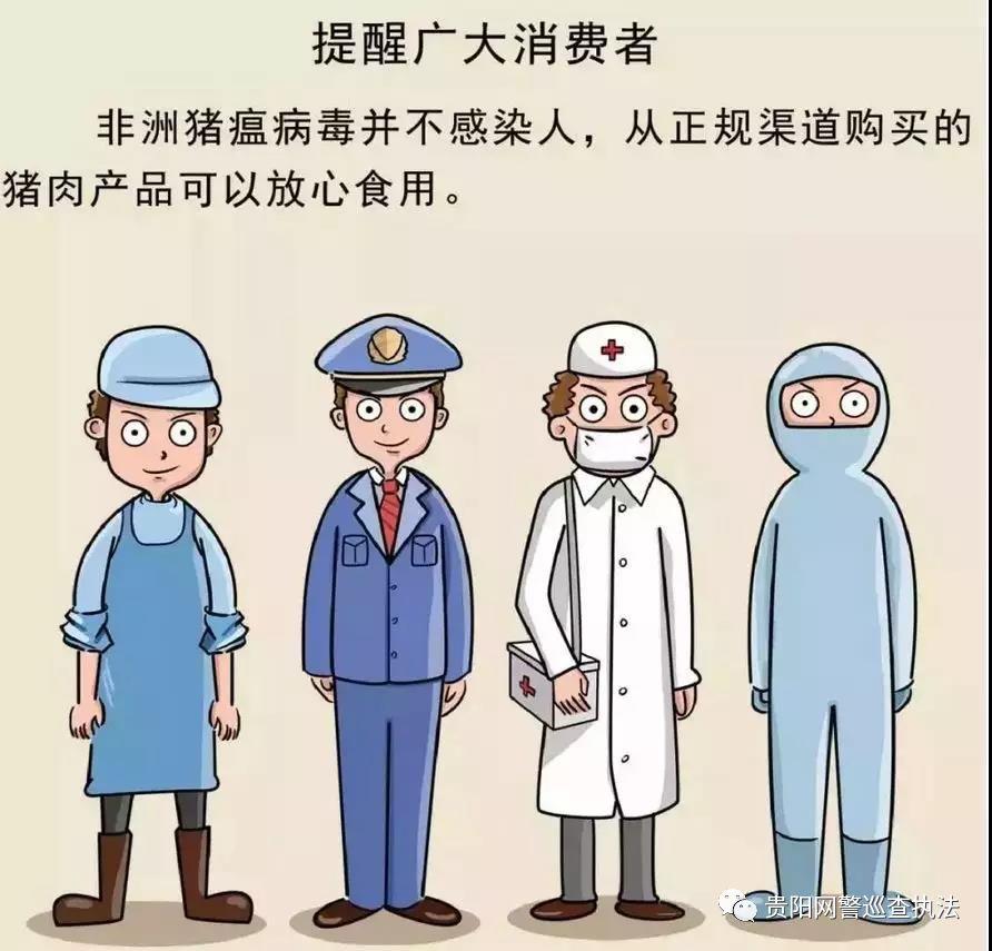 猪瘟疫最新消息,统计信息解析说明_工具版94.432