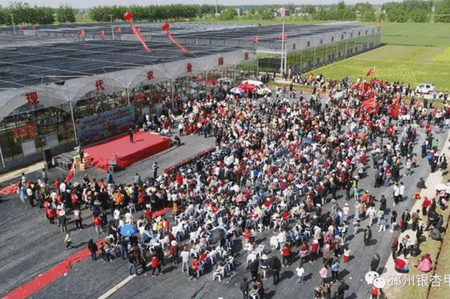 邳州最新消息,社会承担实践战略_乐享版94.540