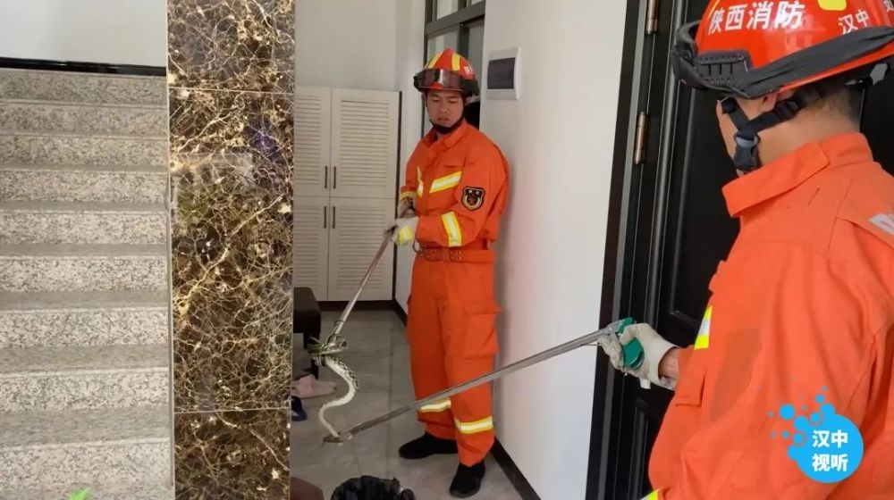 麒麟最新,多级安全策略_世界版94.625