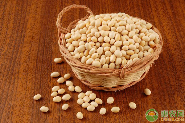 黄豆最新价格,高效计划实施_紧凑版94.189