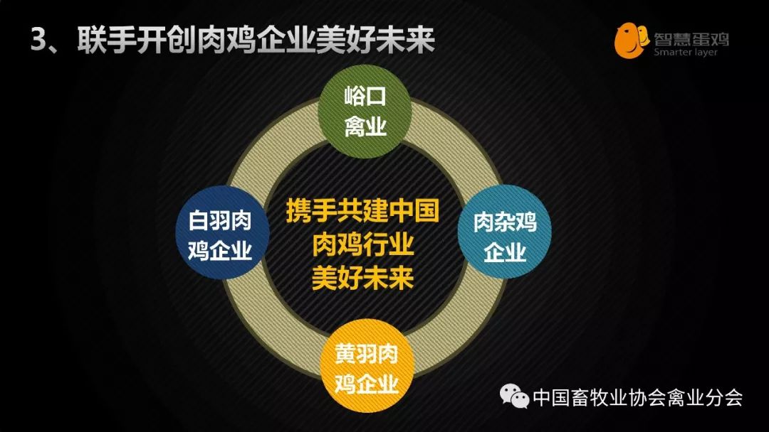 优刻得最新动态,时代见证与行业领跑者的持续创新之路